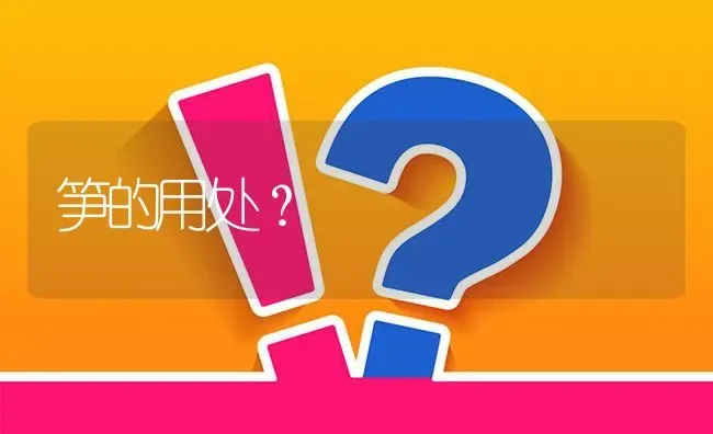 笋的用处? | 养殖问题解答