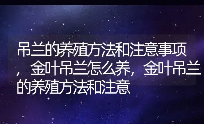 至今未找到的飞机MH370,mh370飞机失踪怎么赔偿 | 养殖常见问题