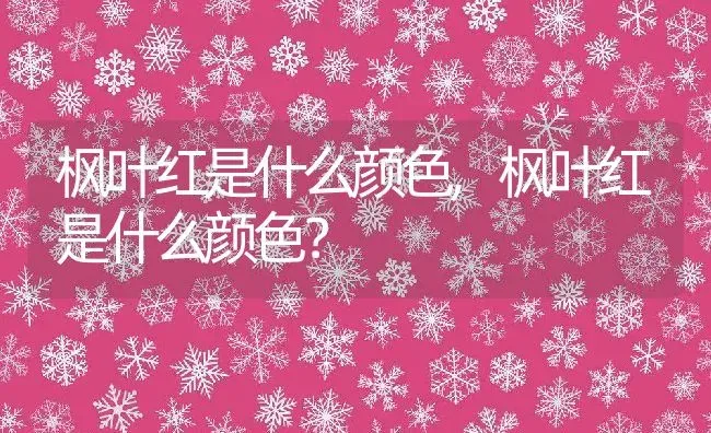 枫叶红是什么颜色,枫叶红是什么颜色？ | 养殖常见问题