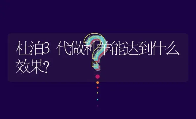 杜泊3代做种羊能达到什么效果? | 养殖问题解答