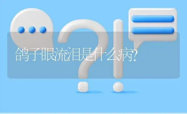 鸽子眼流泪是什么病? | 养殖问题解答