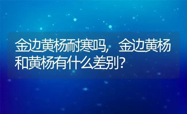 金边黄杨耐寒吗,金边黄杨和黄杨有什么差别？ | 养殖常见问题