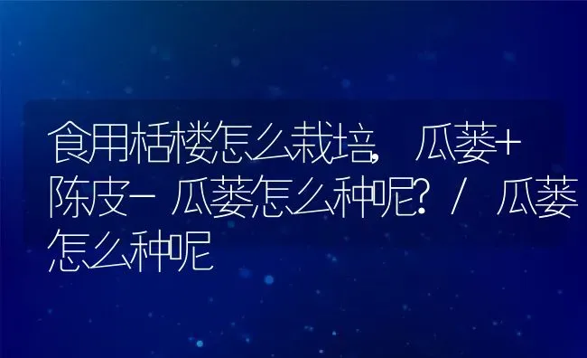 食用栝楼怎么栽培,瓜蒌+陈皮-瓜蒌怎么种呢?/瓜蒌怎么种呢 | 养殖常见问题