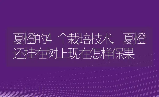 夏橙的4个栽培技术,夏橙还挂在树上现在怎样保果 | 养殖常见问题