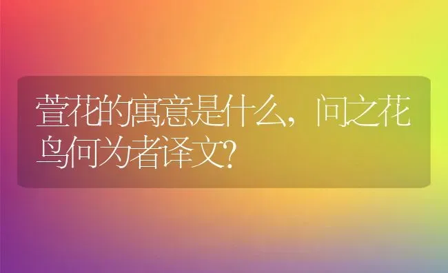 萱花的寓意是什么,问之花鸟何为者译文？ | 养殖常见问题