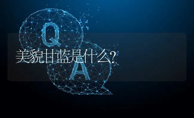 美貌甘蓝是什么? | 养殖问题解答
