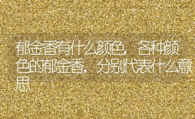 郁金香有什么颜色,各种颜色的郁金香，分别代表什么意思 | 养殖常见问题