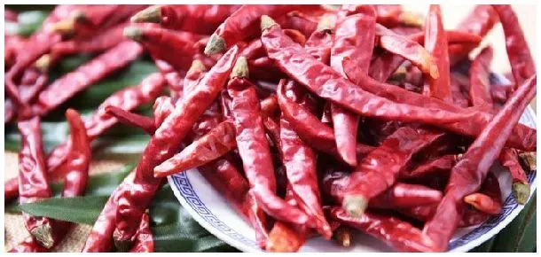 海椒辣吗 | 科普知识