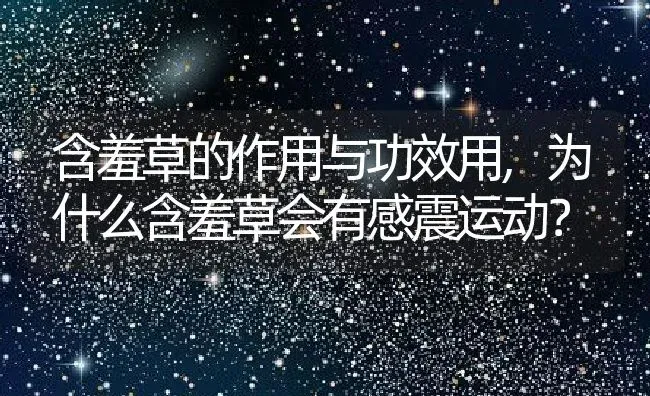 含羞草的作用与功效用,为什么含羞草会有感震运动？ | 养殖常见问题