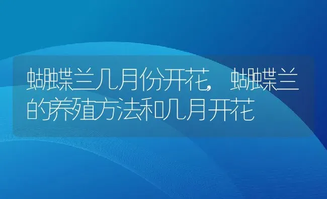 蝴蝶兰几月份开花,蝴蝶兰的养殖方法和几月开花 | 养殖常见问题