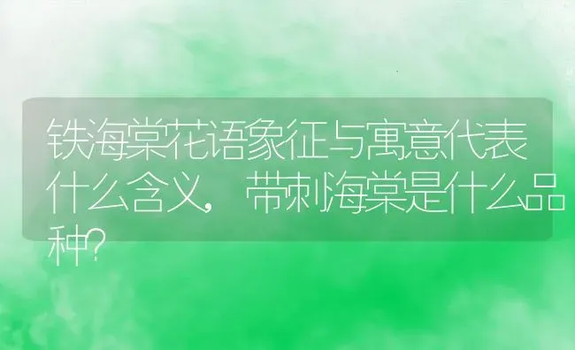 铁海棠花语象征与寓意代表什么含义,带刺海棠是什么品种？ | 养殖常见问题