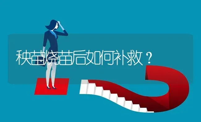 秧苗烧苗后如何补救? | 养殖问题解答