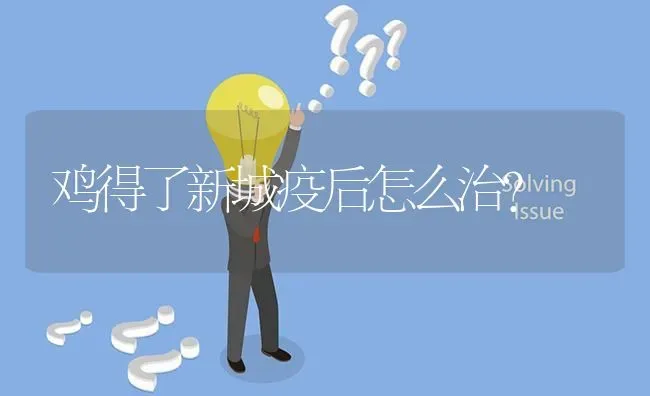 鸡得了新城疫后怎么治? | 养殖问题解答