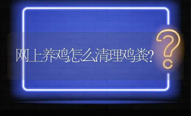 网上养鸡怎么清理鸡粪? | 养殖问题解答