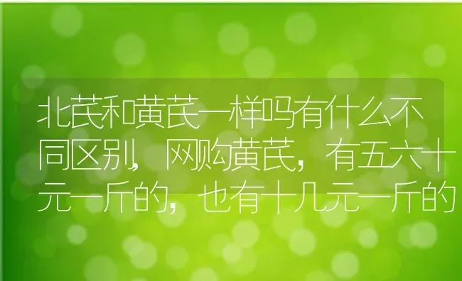 北芪和黄芪一样吗有什么不同区别,网购黄芪，有五六十元一斤的，也有十几元一斤的，为什么差价这么大？ | 养殖常见问题