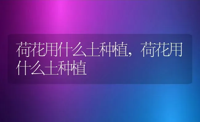 荷花用什么土种植,荷花用什么土种植 | 养殖常见问题