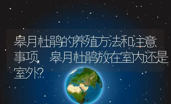 皋月杜鹃的养殖方法和注意事项,皋月杜鹃放在室内还是室外？ | 养殖常见问题