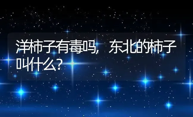 洋柿子有毒吗,东北的柿子叫什么？ | 养殖常见问题