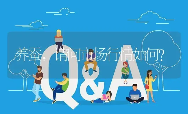 养蚕,请问市场行情如何? | 养殖问题解答