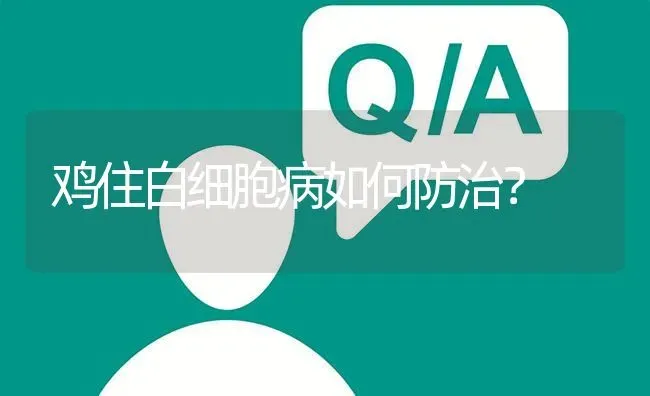 鸡住白细胞病如何防治? | 养殖问题解答