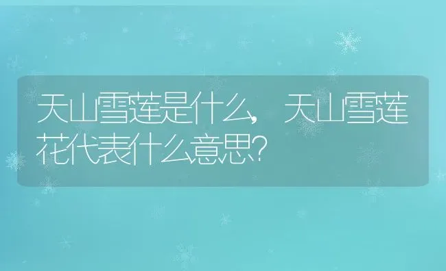 天山雪莲是什么,天山雪莲花代表什么意思？ | 养殖常见问题