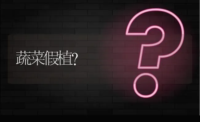 蔬菜假植? | 养殖问题解答