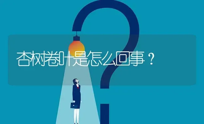 杏树卷叶是怎么回事? | 养殖问题解答