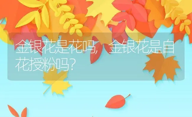 金银花是花吗,金银花是自花授粉吗？ | 养殖常见问题