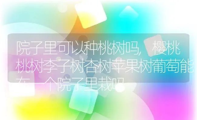 金线莲怎么种植,请问金线莲是怎么样种植的，有种子吗？ | 养殖常见问题