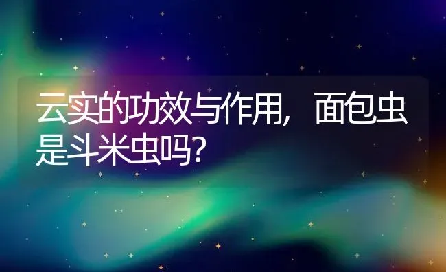 云实的功效与作用,面包虫是斗米虫吗？ | 养殖常见问题