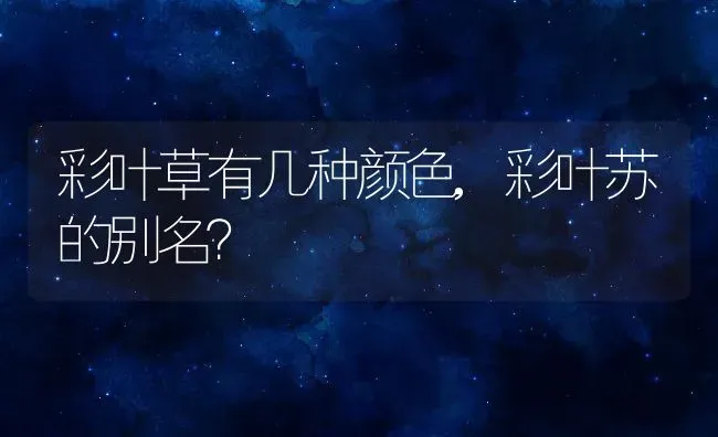彩叶草有几种颜色,彩叶苏的别名？ | 养殖常见问题