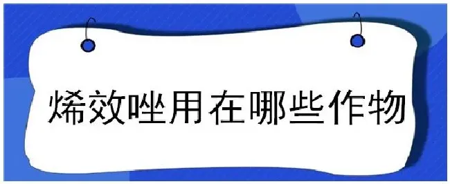 烯效唑用在哪些作物 | 三农答疑