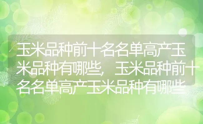 玉米品种前十名名单高产玉米品种有哪些,玉米品种前十名名单高产玉米品种有哪些 | 养殖常见问题