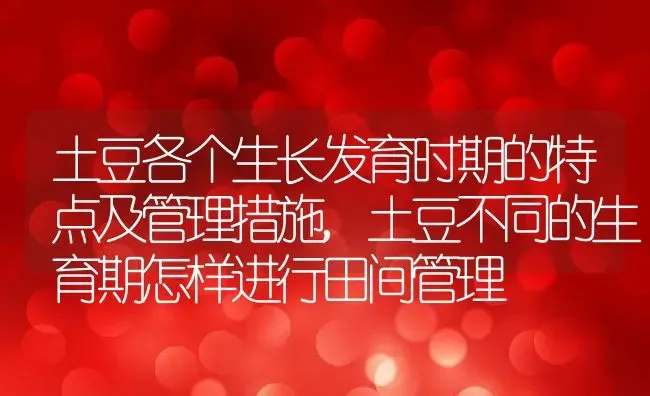 土豆各个生长发育时期的特点及管理措施,土豆不同的生育期怎样进行田间管理 | 养殖常见问题