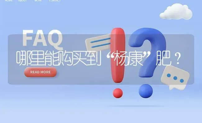 哪里能购买到“杨康”肥? | 养殖问题解答