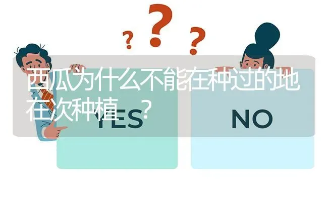 西瓜为什么不能在种过的地在次种植 ? | 养殖问题解答