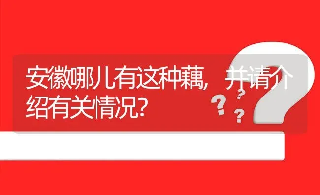 安徽哪儿有这种藕,并请介绍有关情况? | 养殖问题解答