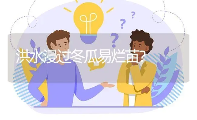 洪水浸过冬瓜易烂苗? | 养殖问题解答