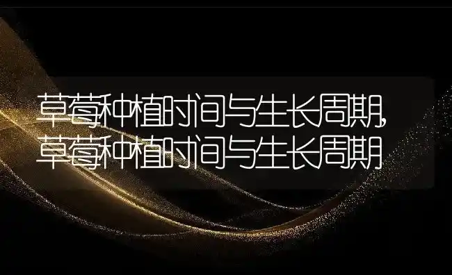 草莓种植时间与生长周期,草莓种植时间与生长周期 | 养殖常见问题