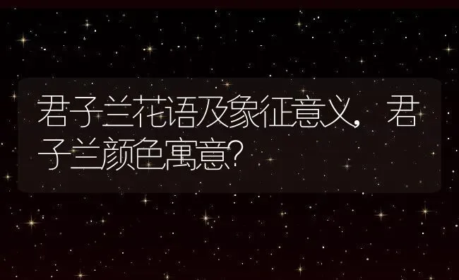 君子兰花语及象征意义,君子兰颜色寓意？ | 养殖常见问题