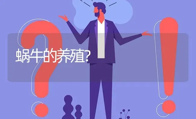 蜗牛的养殖? | 养殖问题解答