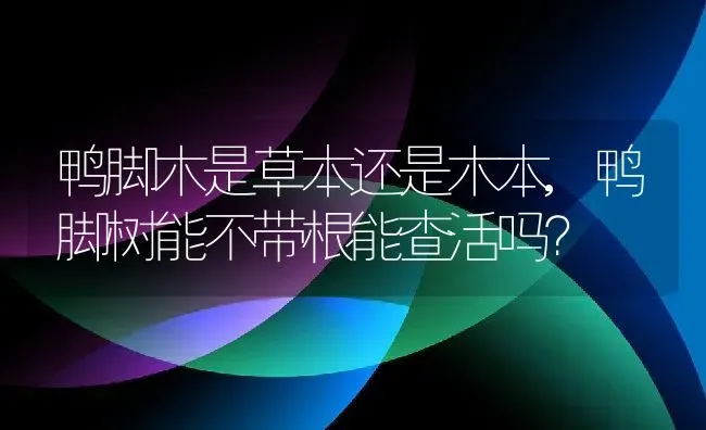 鸭脚木是草本还是木本,鸭脚树能不带根能查活吗？ | 养殖常见问题