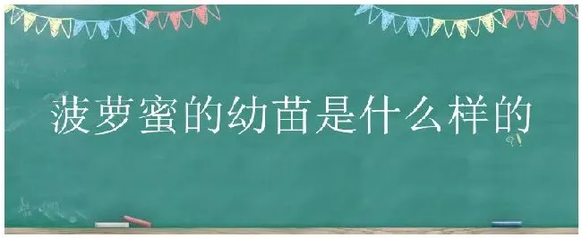 菠萝蜜的幼苗是什么样的 | 农业常识