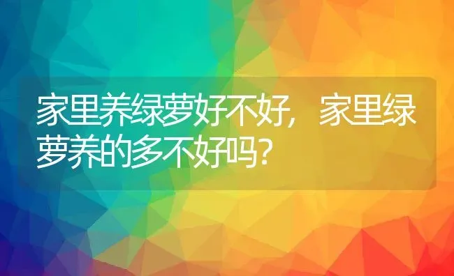 家里养绿萝好不好,家里绿萝养的多不好吗？ | 养殖常见问题