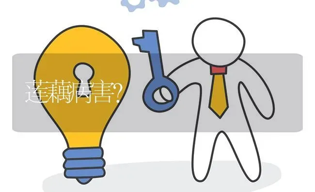 莲藕病害? | 养殖问题解答