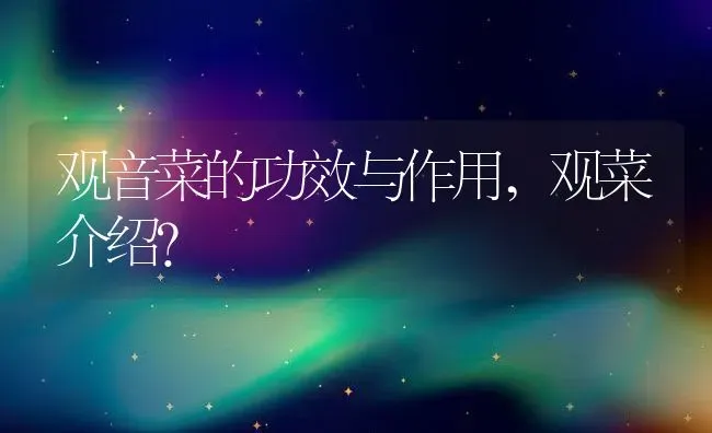 观音菜的功效与作用,观菜介绍？ | 养殖常见问题