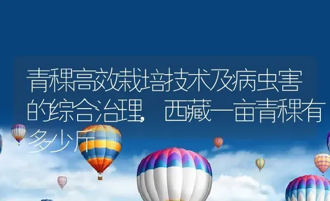 青稞高效栽培技术及病虫害的综合治理,西藏一亩青稞有多少斤 | 养殖常见问题