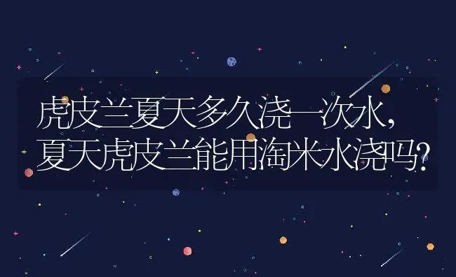 虎皮兰夏天多久浇一次水,夏天虎皮兰能用淘米水浇吗？ | 养殖常见问题