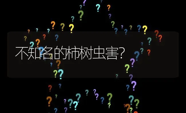 不知名的柿树虫害? | 养殖问题解答