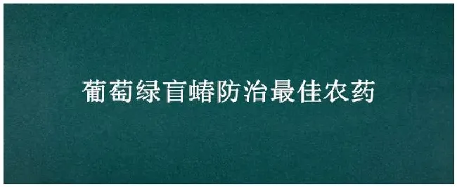 葡萄绿盲蝽防治最佳农药 | 三农问答